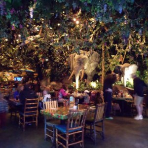 rainforest-cafe-disney